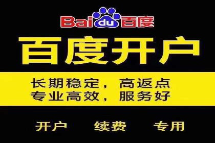 成功SEM托管代运营案例分析